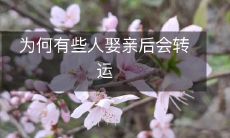 为什么结婚能够带来好运:探究一些人为何在婚后转运的原因