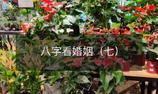 八字命理:如何通过个人命盘预测婚姻状况(第七篇)