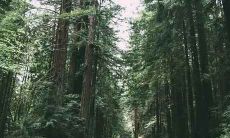 2020年10月31日出生的宝宝命运如何,究竟是好是坏?