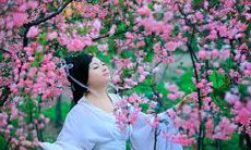 学习如何观测八字中是否含有桃花元素 - 有效地探究感情生活的技巧