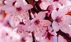 天上火与大海水:是否存在相克与匹配,命运是否交织?