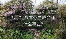 通过八字定数,了解适合哪种事业或职业能够成功发展?