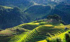 2020年辛丑年农历十月二十七诞生的宝宝,其五行属性分析及命运趋势析评:缺少何种元素可能对其造成影响?