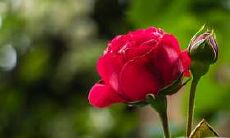 坐财位日冲刑意义深远,会对婚姻关系产生怎样的影响?