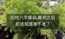 通过四柱八字算命,你会得知其准确性如何