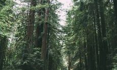 根据八字,有哪些特征的女人很难旺夫,影响婚姻美满呢?