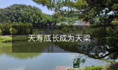 从天寿之苗到天梁之巨:见证成长过程的壮丽变化