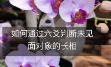 如何利用六爻推断未曾谋面的他/她的相貌特征?