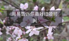 依据周易解析的人生吉凶,如何选择适宜的婚期?探讨最佳结婚时间,听取周易世界智慧的启示