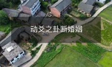 据《周易》之动爻,透析卦象示意断婚姻之秘诀