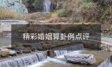 经典算命案例点评:分享精彩婚姻预测经验