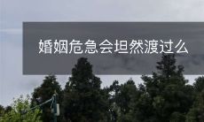 当婚姻陷入危机时,我们是否能够从容应对并度过难关?