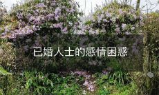 已婚人士面临的情感烦扰与挑战:如何应对婚姻中的感情问题?