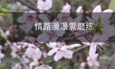 在情感世界中探索前行:需要经历的磨难和经验积累