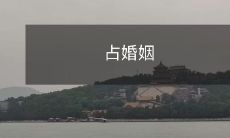 占领婚姻:一个深入探讨人类关系与社会文化演变的题记