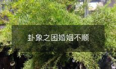 通过解读卦象缓解困境,获得幸福美满的婚姻生活