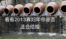探究2013年寡妇年的婚恋市场,评估您是否在这个时代适合步入婚姻殿堂