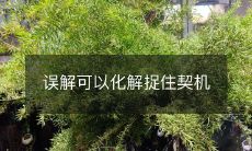 如何化解误解:捉住契机,建立更强的沟通与理解?