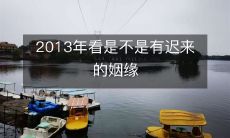 2013年是不是能在迟来的姻缘中寻得一丝温暖?