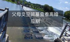 父母赡养空巢墓地寻觅离婚申请期限