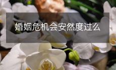 如何应对婚姻危机,走出困境并实现幸福?