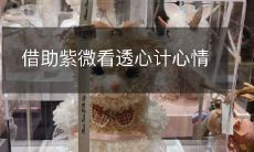 使用紫微观察洞悉心理和谋略