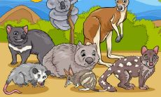 探究三种有效的规划餐厅风水的可行方法,让您打造一个充满能量和繁荣的餐厅空间!