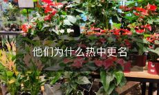 为什么他们如此热衷于更改名称?探讨更名现象的原因和影响