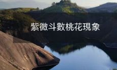 如何利用紫微斗数预测和解读桃花现象?