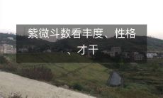 通过紫微斗数来预测人的财富状况、个性特征以及潜在才华