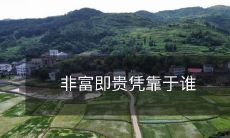 在这个非富即贵的世界里,我们会凭借谁来获得成功?