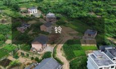 响不停的铃,使我的思绪不断闪现,无法集中精力,如何应对?