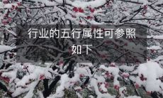 参考五行属性指南,为你的行业创造繁荣:探讨如何利用五行理论来促进行业发展的技巧