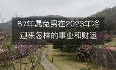 预测:1987年出生的兔子男士在2023年将迎来怎样的令人兴奋的事业和财富发展呢?