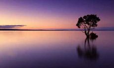 作为属兔人,预计寿命有多长?哪个年龄段运势最好呢?