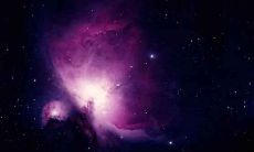 属兔人的2020年10月运势分析:探究生肖兔在这个月的运势、运程和表现