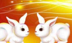 2022年,作为属兔的人,您会在上半年还是下半年拥有更好的运势呢?