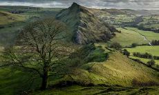 星座 1963 年出生的人属于哪个星座?