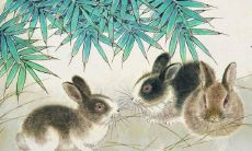 2023年春节,兔年生肖人士可选戴哪些具有显著旺财功效的吉祥首饰?