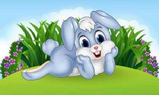 【属兔人2022年10月运势运程详细解析】探究生肖兔在2022年10月的吉凶变化,解读命运运势的各个方面