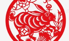 2023年生肖兔的运势和发展方向,以及在此背景下对于属兔人的建议和指导