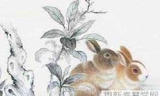 属猪人生兔宝宝的情况如何?兔宝宝与猪妈妈共处的生活状态要注意什么?