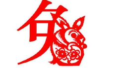 兔年出生的人:婚姻与命运的探究,如何走出烦恼与困惑?