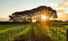 B型血的属兔生肖人的性格特点及运势分析