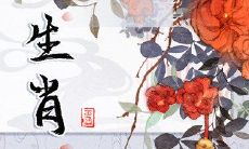 揭秘2023年第一轮十二生肖周运:从3月20日到3月26日