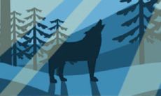 为什么占卦的结果总是预示着爱情来去匆匆,我们该如何面对?