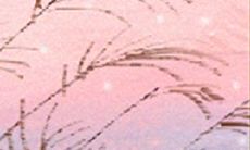 从AB型血角度探究12星座的个性特征