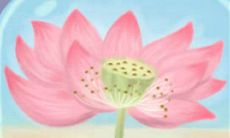 不同血型的人交往时需要注意的禁忌和注意事项