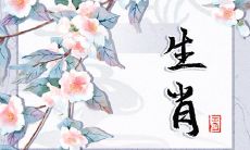 探寻十二生肖2023年6月15日的第一次转运:运势详解