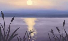 如何通过生活习惯来评估你的智商水平?